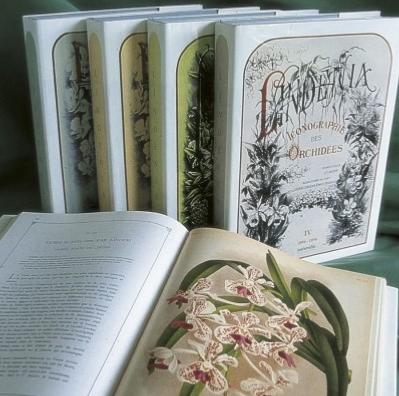 UN ENSEMBLE EXCEPTIONNEL : LINDENIA. Iconographie des orchidées, 5 volumes, 1885-1906 - Jean-Jules Linden et Emile Rodigas 