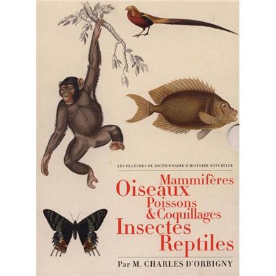 [ORBIGNY (d')] LES PLANCHES DU "DICTIONNAIRE D'HISTOIRE NATURELLE" : Mammifères, Oiseaux, Poissons & Coquillages, Insectes, Reptiles (5 volumes) - Par M. Charles d'Orbigny