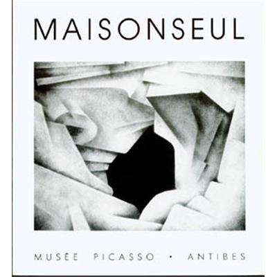 [MAISONSEUL] MAISONSEUL. Fontaine de Vaucluse. Pierre et eau. Peintures et dessins 1978-1982 - Collectif. Catalogue d'exposition