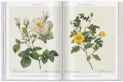 ROSES. The Complete Plates 1817-1824 / Toutes les planches 1817-1824, " Pocket Books " - Pierre-Joseph Redouté. Texte de H. Walter Lack 