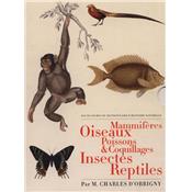 [ORBIGNY (d')] LES PLANCHES DU "DICTIONNAIRE D'HISTOIRE NATURELLE" : Mammifères, Oiseaux, Poissons & Coquillages, Insectes, Reptiles (5 volumes) - Par M. Charles d'Orbigny