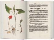 LE NOUVEL HERBIER. Edition complète et coloriée de 1545 - Leonhart Fuchs