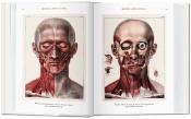 ATLAS OF HUMAN ANATOMY AND SURGERY/Atlas d'anatomie humaine et de chirurgie, " Bibliotheca Universalis " - J. M. Bourgery et N. H. Jacob (éd. 2021)