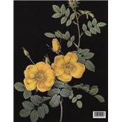 [REDOUTÉ] LES MERVEILLEUSES ROSES - Pierre-Joseph Redouté. Introduction de Gabrielle Townsend